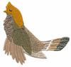 Ruffed Grouse