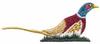 Red-necked Pheasant