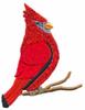 Cardinal
