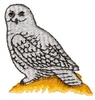 Sitting Owl