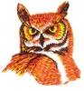 Owl Head
