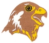 Falcon Head