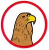 Eagle Head in Circle
