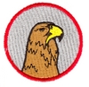 Eagle Head in filled circle