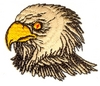 Angry Eagle Head