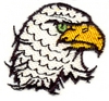 Scruffy Eagle Head