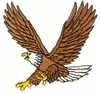Sweeping Eagle - smaller