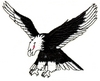 Eagle Descends