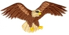 Flying Eagle