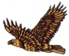 Hawk