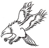 Big Hawk