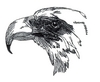 "Eagle, smaller"