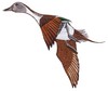 Pin Tail Duck (Square Hoop)