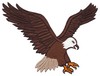 Descending Eagle (Square Hoop)