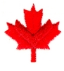 Maple Leaf (Medium)