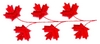 Maple Leaf Chain
