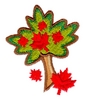 Maple Tree