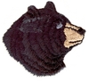Bear head