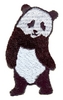 Panda Bear standing
