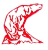 Polar bear outline