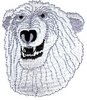 Polar Bear head