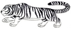 Tiger outline