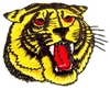 Tiger head