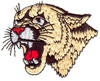 Cougar head