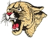 Cougar head