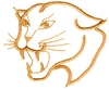 Cougar Head