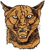 Cat Head