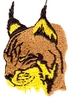Lynx