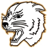 Cougar Head