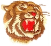 Tiger Head