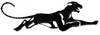 Panther