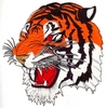 Tiger Head -large (Square Hoop)