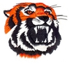 Tiger Head