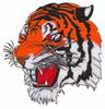 Tiger Head