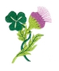 Lucky Thistle
