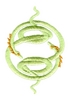 Serpent