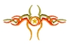 Tribal Star