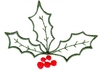 Holly
