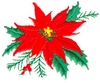 Christmas Poinsettia