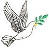 Christmas Dove outline