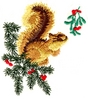 Christmas Squirrel