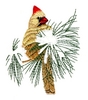 Bird on Snowy Branch