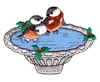 Bird Iceskating in Bird Bath