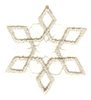 Snowflake 5