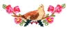 Two Turtledoves