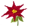 Poinsettia